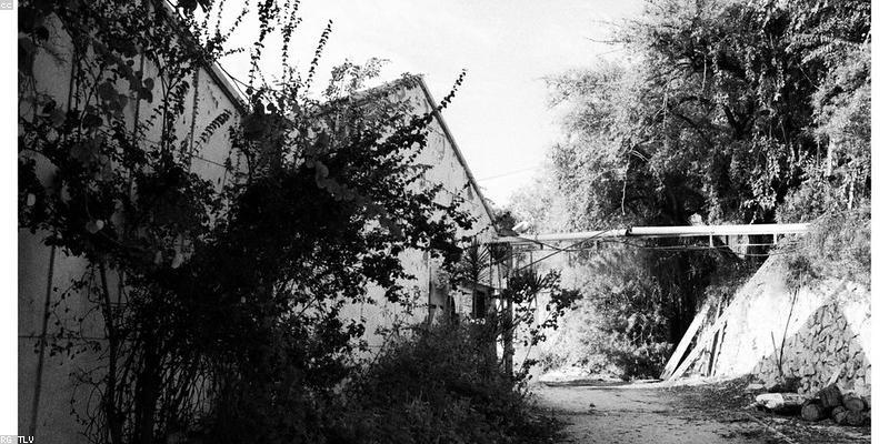 The Greenhouse Effect